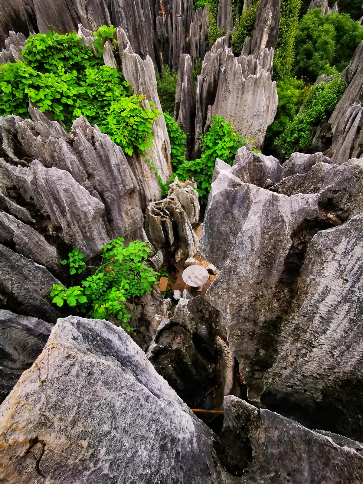 中國南方喀斯特:水流與石頭的博弈 | 手機(jī)里的中國世界遺產(chǎn)