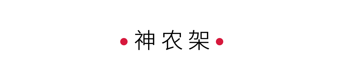 探秘生命秘境神農(nóng)架 | 手機里的中國世界遺產(chǎn)