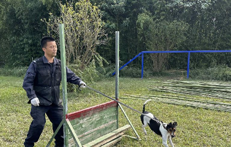 “汪汪隊”神犬是如何煉成的？